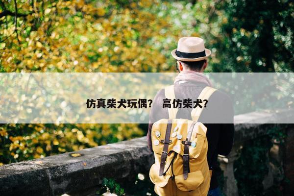 仿真柴犬玩偶？ 高仿柴犬？