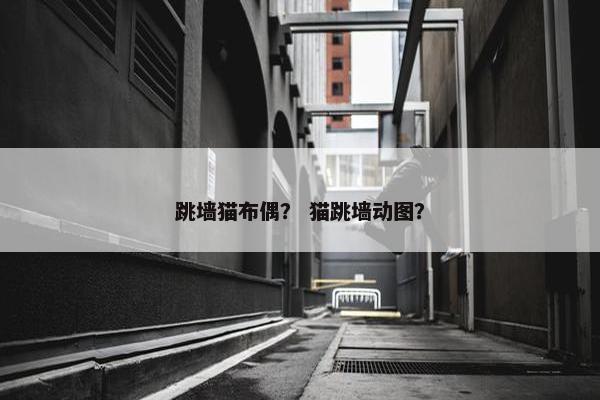 跳墙猫布偶？ 猫跳墙动图？
