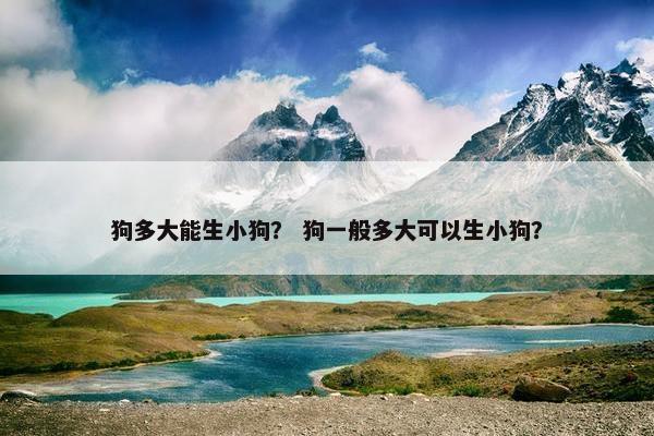 狗多大能生小狗？ 狗一般多大可以生小狗？