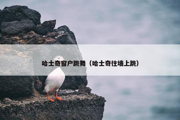 哈士奇窗户跳舞（哈士奇往墙上跳）