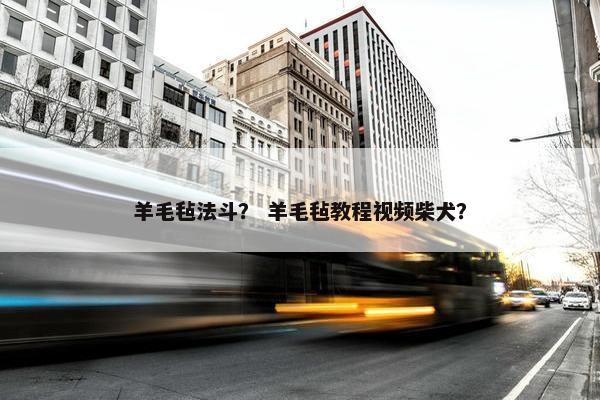 羊毛毡法斗? 羊毛毡教程视频柴犬?