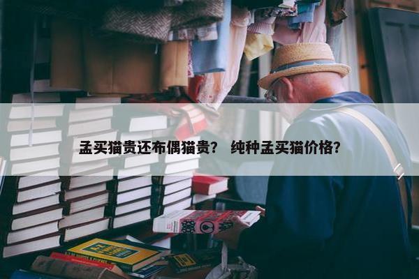 孟买猫贵还布偶猫贵？ 纯种孟买猫价格？
