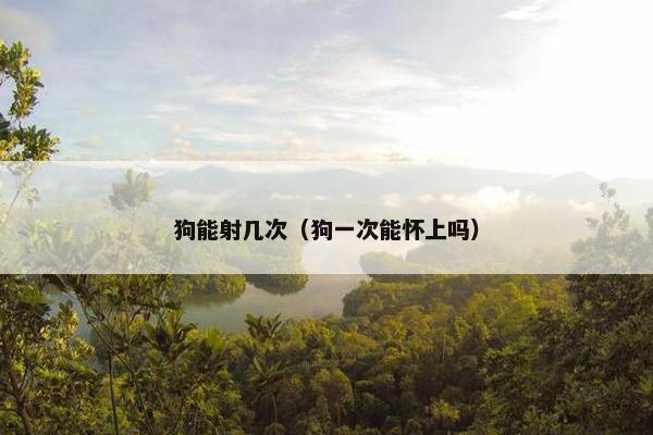 狗能射几次（狗一次能怀上吗）