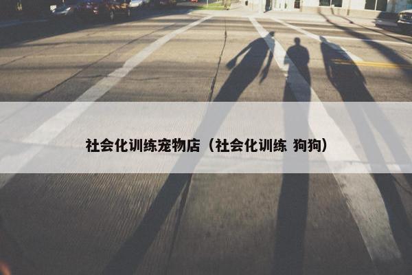 社会化训练宠物店（社会化训练 狗狗）