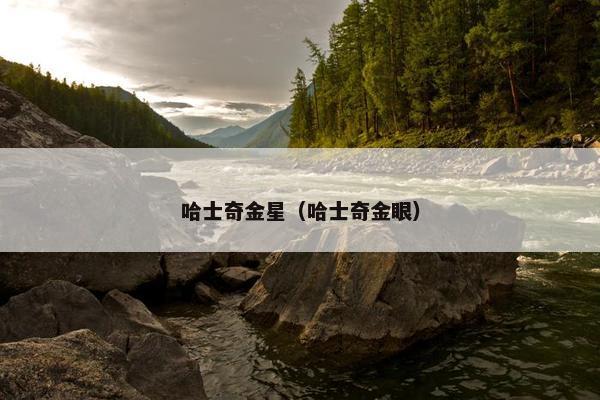 哈士奇金星（哈士奇金眼）