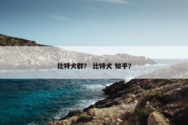 比特犬群？ 比特犬 知乎？
