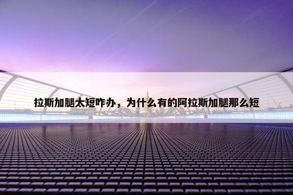 拉斯加腿太短咋办,为什么有的阿拉斯加腿那么短