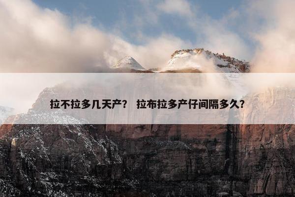 拉不拉多几天产？ 拉布拉多产仔间隔多久？