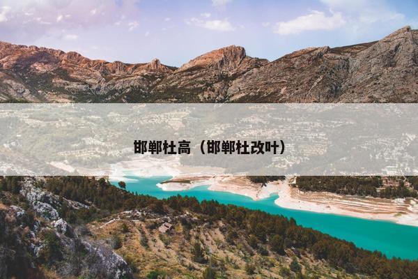 杜高 第12页