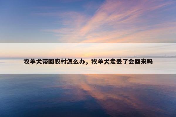 牧羊犬带回农村怎么办,牧羊犬走丢了会回来吗