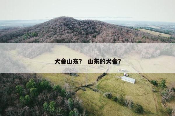 犬舍山东？ 山东的犬舍？