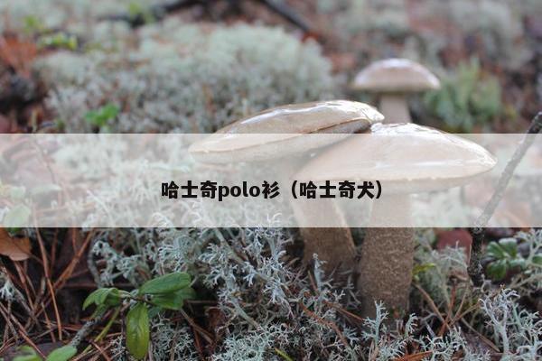哈士奇 第6页