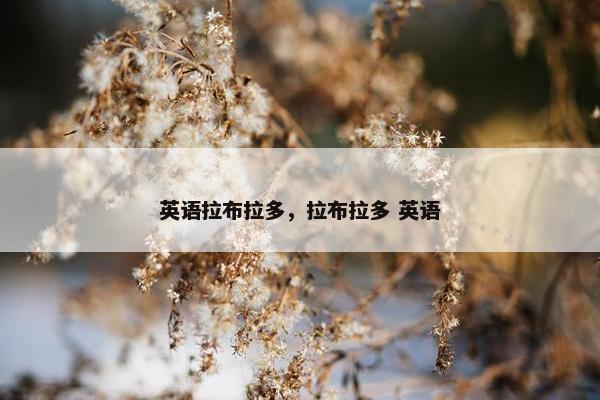 英语拉布拉多，拉布拉多 英语