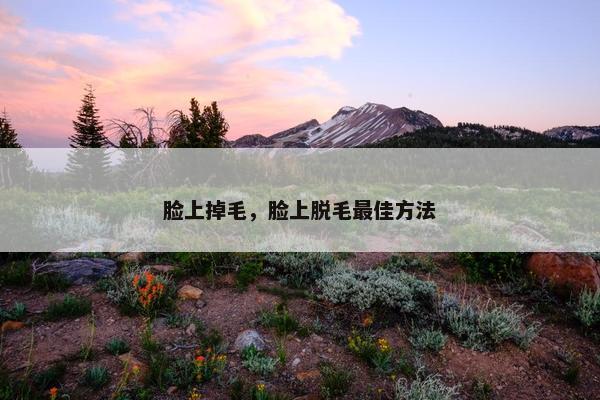 脸上掉毛，脸上脱毛最佳方法