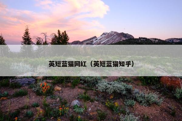 端午