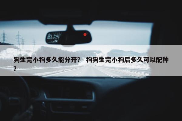 狗生完小狗多久能分开? 狗狗生完小狗后多久可以配种?