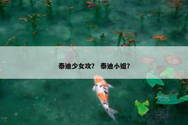 外套