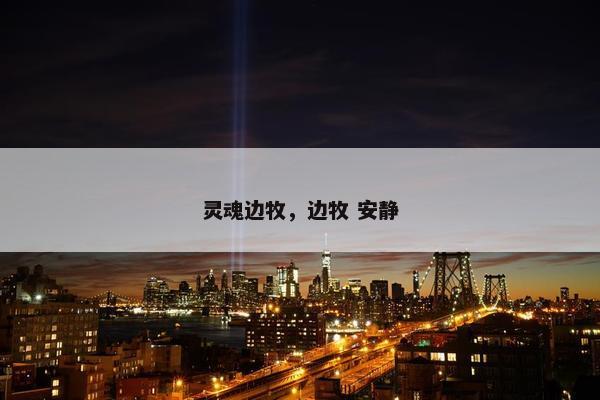 灵魂边牧，边牧 安静