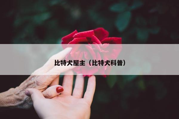比特犬屋主（比特犬科普）