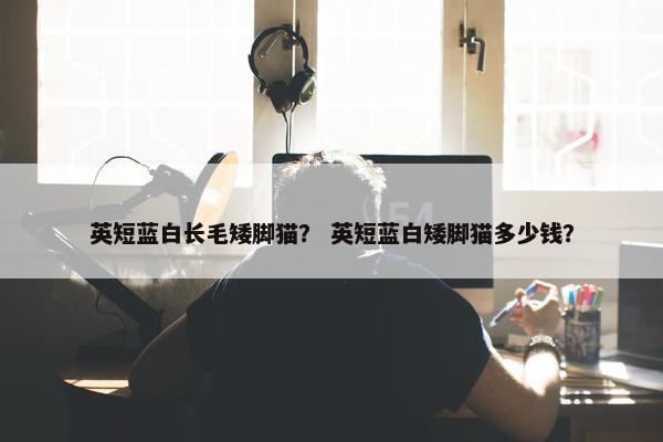 英短蓝白长毛矮脚猫？ 英短蓝白矮脚猫多少钱？