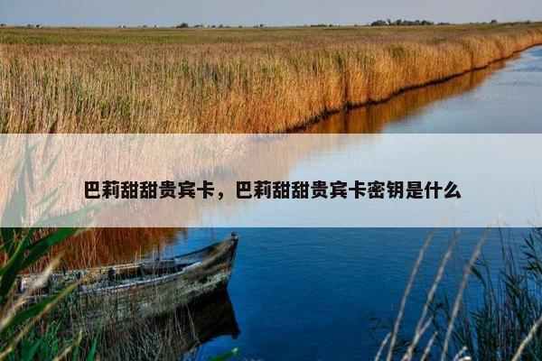 巴莉甜甜贵宾卡，巴莉甜甜贵宾卡密钥是什么