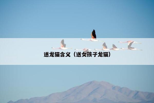 友谊