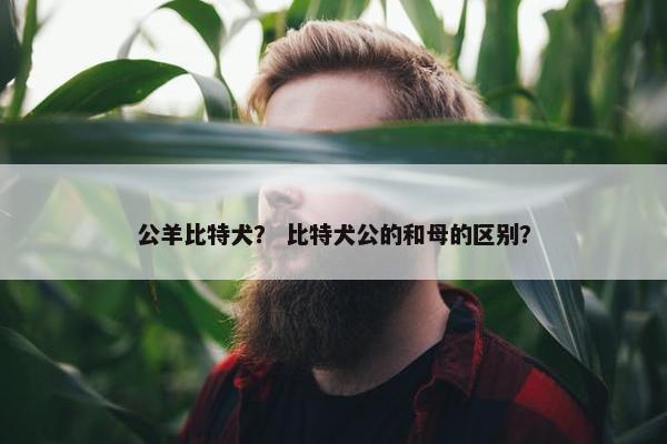 公羊比特犬？ 比特犬公的和母的区别？