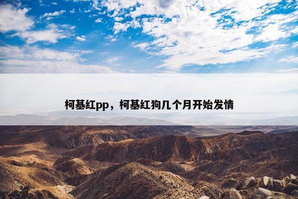 红点