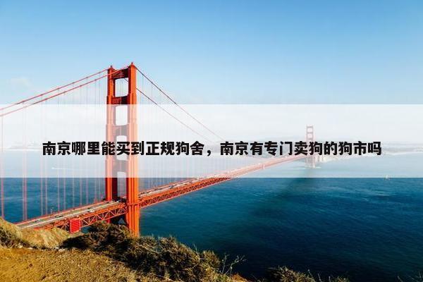 南京哪里能买到正规狗舍，南京有专门卖狗的狗市吗