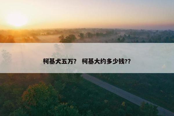 柯基犬五万？ 柯基大约多少钱?？