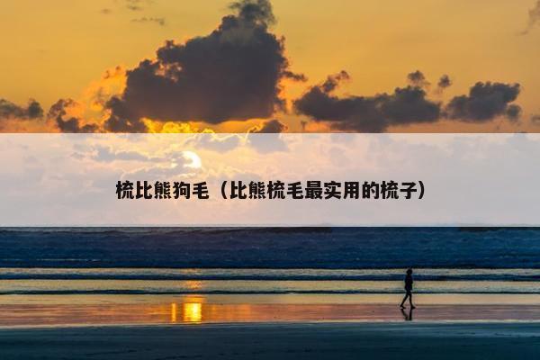 梳比熊狗毛（比熊梳毛最实用的梳子）
