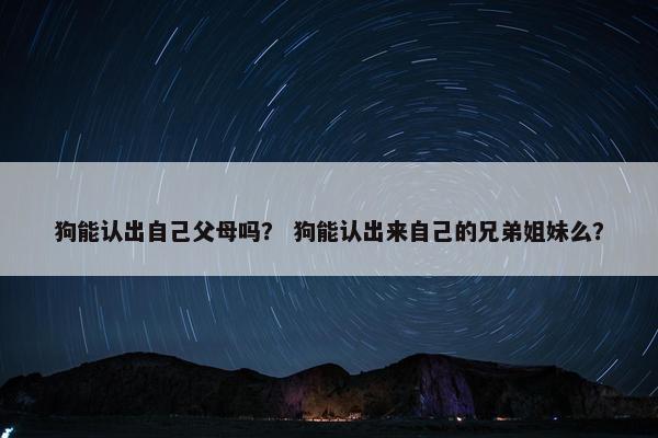 狗能认出自己父母吗？ 狗能认出来自己的兄弟姐妹么？