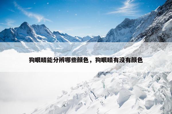 狗眼睛能分辨哪些颜色，狗眼睛有没有颜色