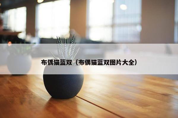 布偶猫蓝双（布偶猫蓝双图片大全）