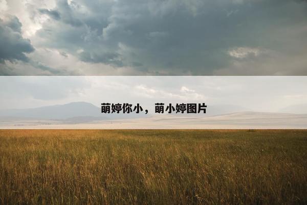 萌婷你小,萌小婷图片