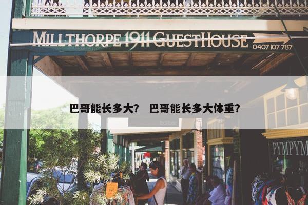 巴哥能长多大？ 巴哥能长多大体重？
