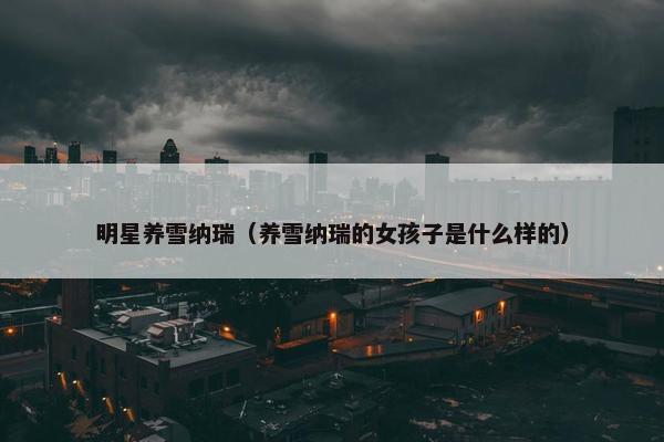 明星养雪纳瑞（养雪纳瑞的女孩子是什么样的）