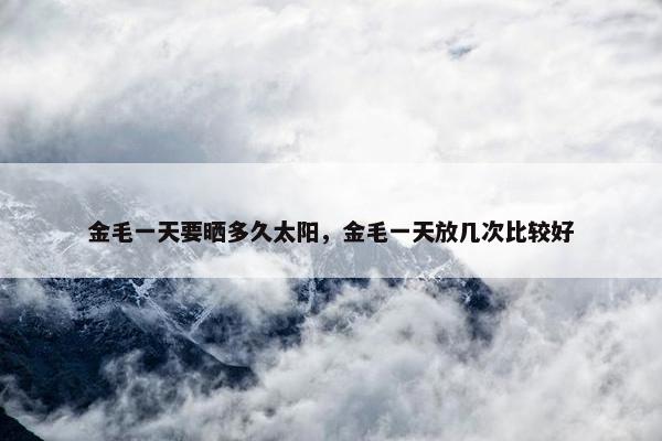 金毛一天要晒多久太阳，金毛一天放几次比较好