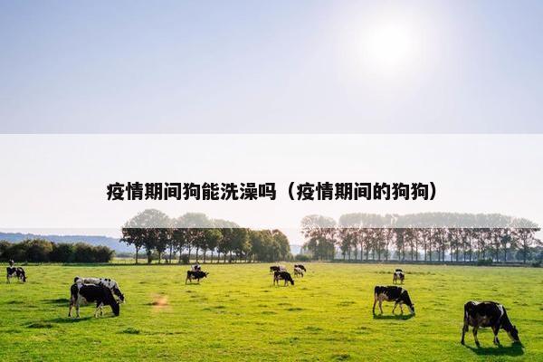 疫情期间狗能洗澡吗（疫情期间的狗狗）
