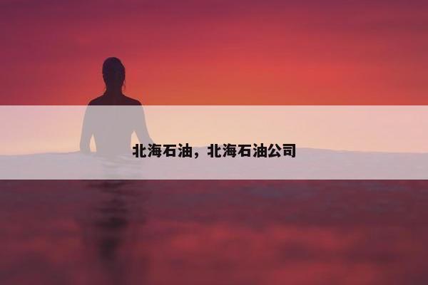 北海石油，北海石油公司