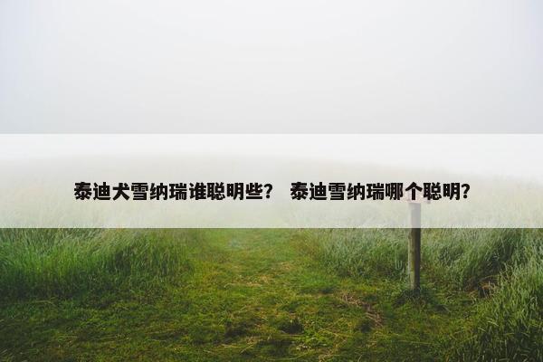 泰迪犬雪纳瑞谁聪明些？ 泰迪雪纳瑞哪个聪明？