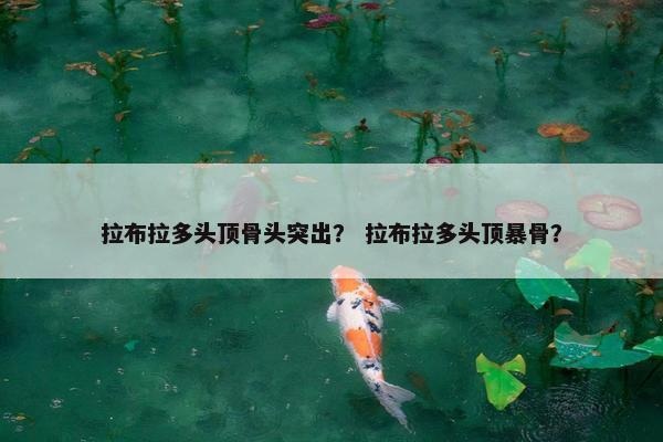 凸起