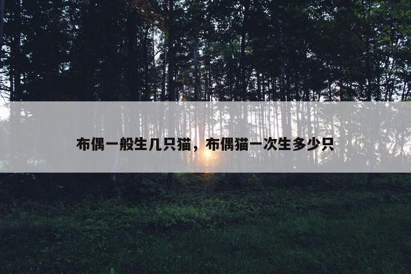布偶一般生几只猫，布偶猫一次生多少只