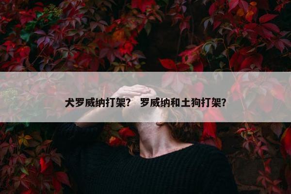 犬罗威纳打架？ 罗威纳和土狗打架？
