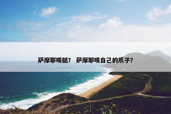 萨摩耶啃腿？ 萨摩耶啃自己的爪子？