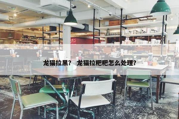 龙猫拉黑？ 龙猫拉粑粑怎么处理？