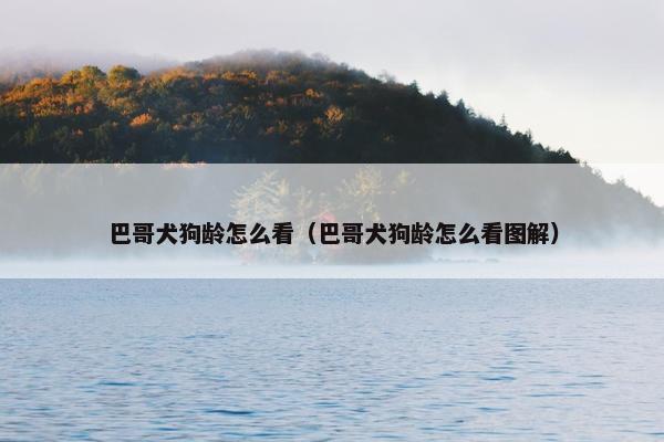 巴哥犬狗龄怎么看（巴哥犬狗龄怎么看图解）