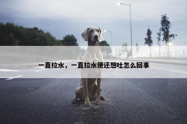 一直拉水，一直拉水便还想吐怎么回事