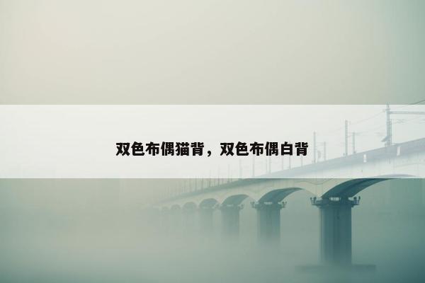 双色布偶猫背，双色布偶白背