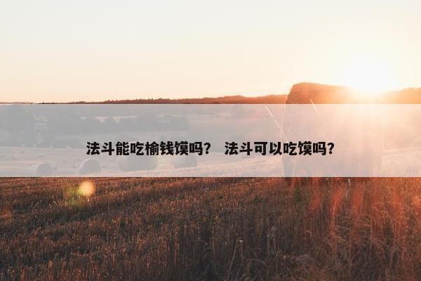 法斗能吃榆钱馍吗？ 法斗可以吃馍吗？